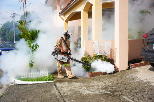 Realizamos una jornada de fumigación en el sector de El Doral, con el objetivo de ayudar a controlar la presencia de mosquitos y reducir los riesgos que estos pueden representar para las familias de nuestra comunidad.

Continuamos recorriendo el corregimiento y atendiendo las 
necesidades de nuestros vecinos. #TrabajandoPorTí #TuBienestarNuestraMisión